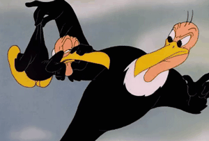 Gif animé vautour apprend à volé